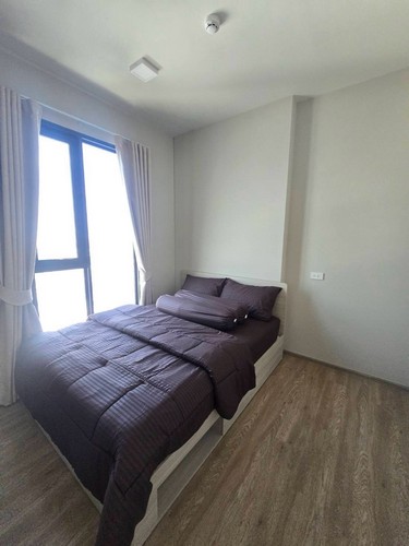 Plum Condo New West