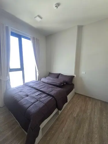 Plum Condo New West