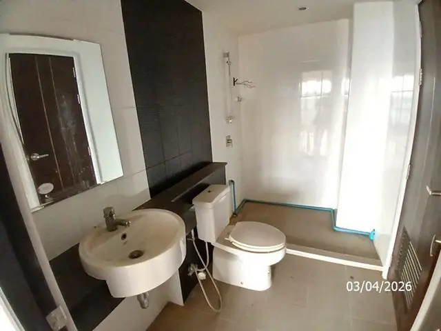 Punna Oasis 2