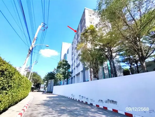 Niche id Serithai - Wongwoen