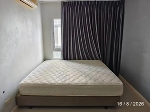 Oasis rayong