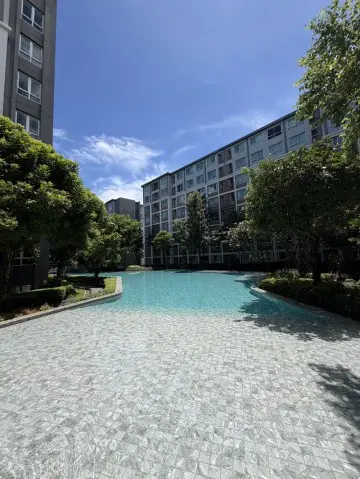 D Condo Ping
